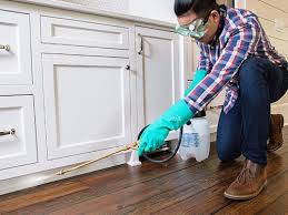 Best Real Estate Pest Inspections  in Salmon Creek, WA